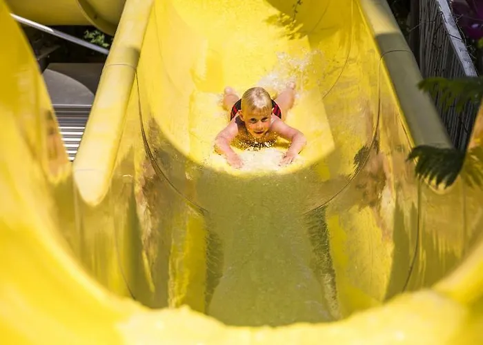 Parador Suite Hotel 3* アランヤ